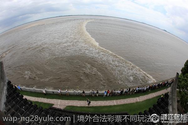 境外合法彩票不同玩法的中奖秘籍