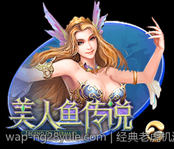 经典老虎机游戏规则全方位解析